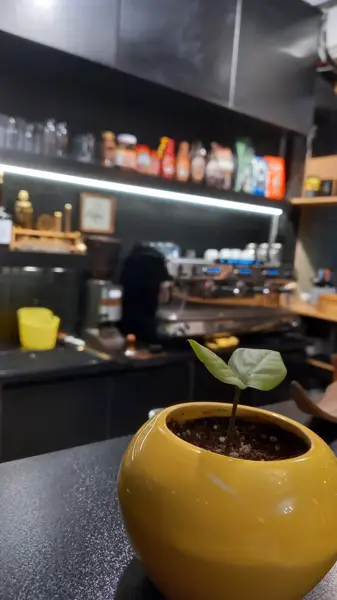  کافه صبحانه فست فودی ژوان ️