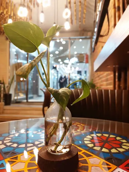  Cafe Behesht | کافه بهشت