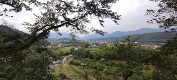  کافه رستوران ایتالیایی روناس