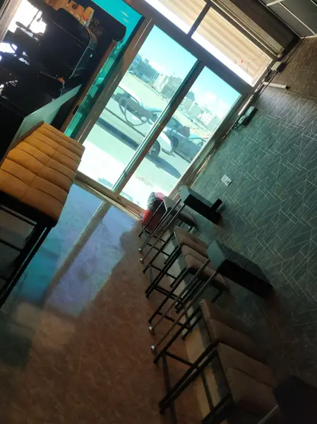  کافه بلوط