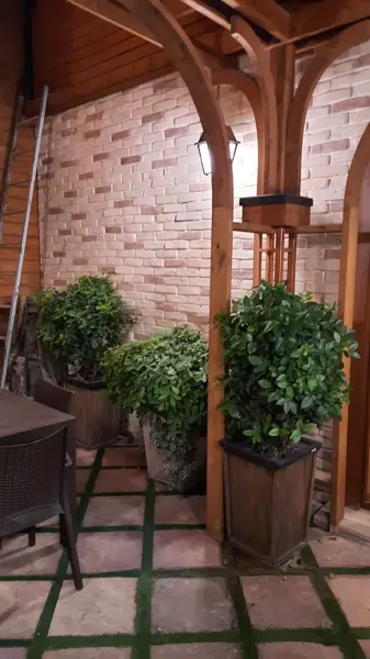 BojanRoofGarden