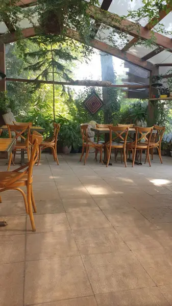 کافه بید مجنون
