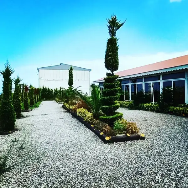  کافه رستوران ساحلی نارنجستان