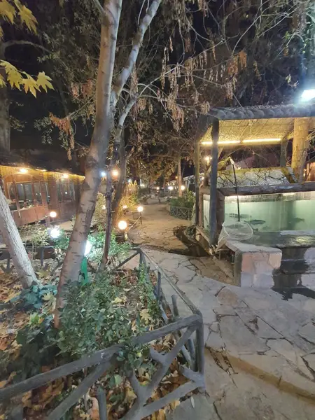  سپیدار