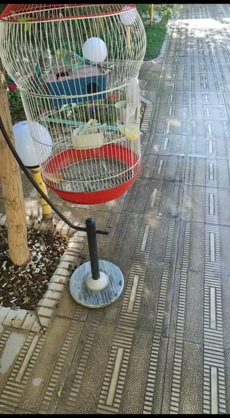  کافی شاپ انارک