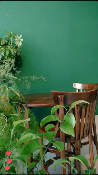  cafe jî