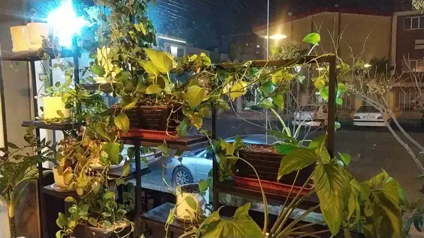  Ordibehesht Cafe