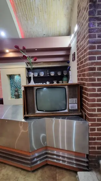  شیر رضا شعبه شاهزاده فاضل