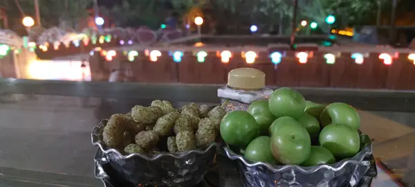  باغ عشق