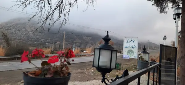 بلوط برگر