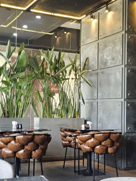  کافه دکتر شکلات Dr.Chocolate cafe