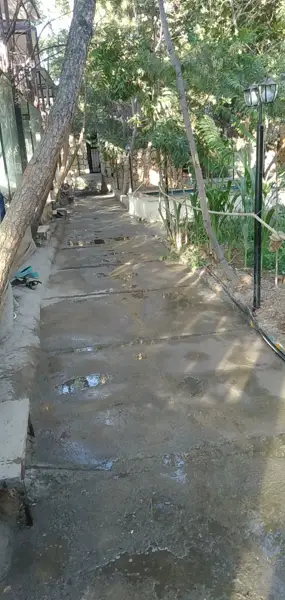  رستوران همیشه سبز