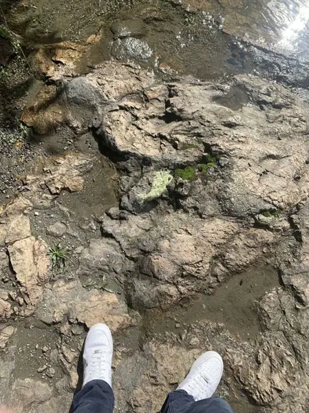  رستوران ارگ