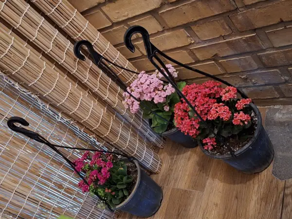 Balcony cafegalley (کافه گالری بالکن)