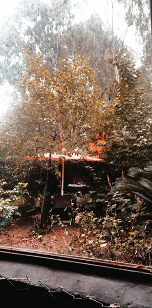 کافه داکتر