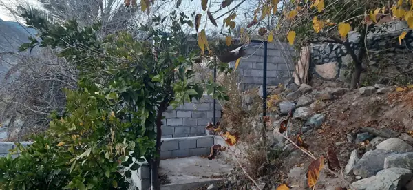  بلوط برگر