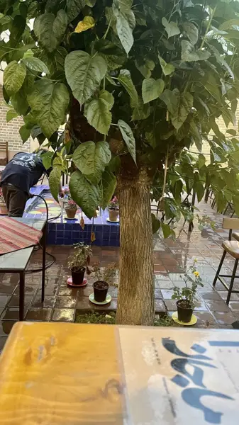 Majan coffee