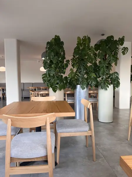  Nufe Restaurant , رستوران نوفه