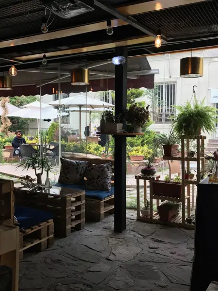 کافه ویش Wish Café