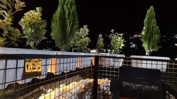 رستوران راش