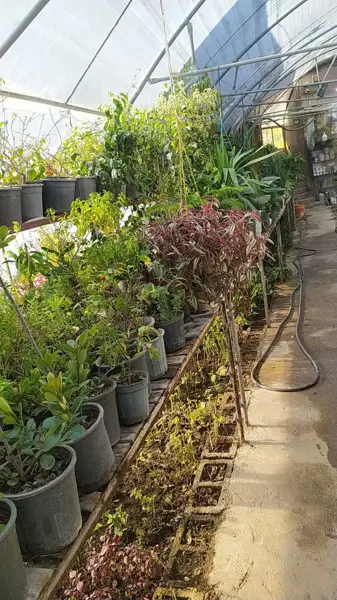  سفره خانه باغ سیکاس