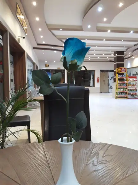  Blue Rose مجتمع رفاهی رز آبی