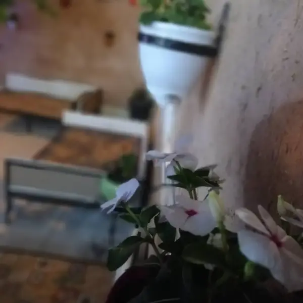 کافه رستوران سنتی ملیله