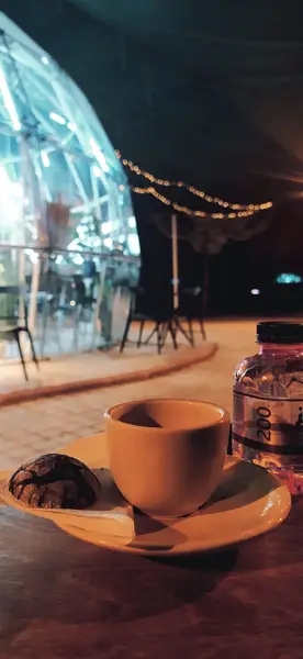  کافه گلخونه | Gol Khone Cafe