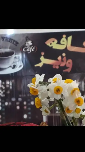  کافه ونیز