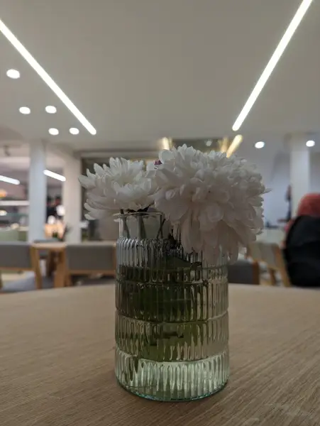  Roch Cafe