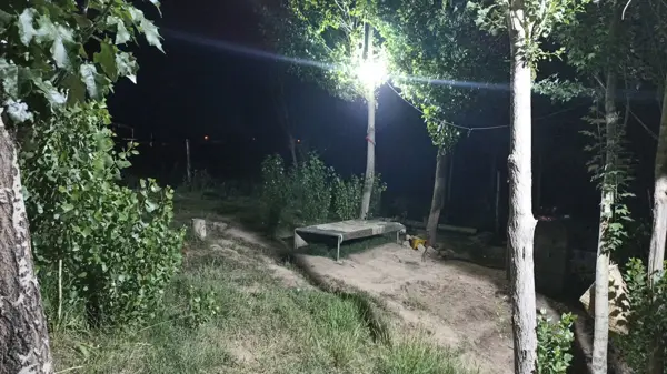  کافه ایل