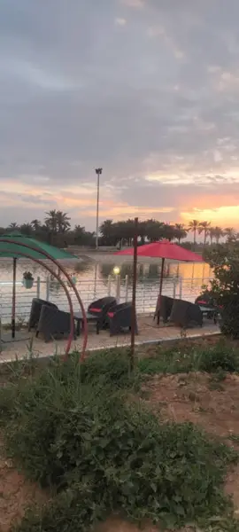  کافه لایک