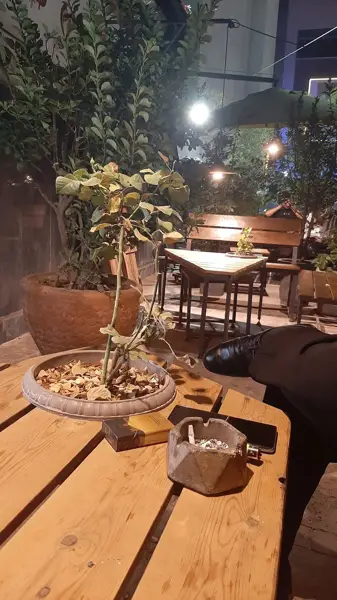 Cafe Setareh کافه ستاره