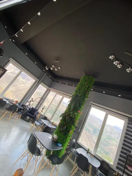  Viuland Cafe