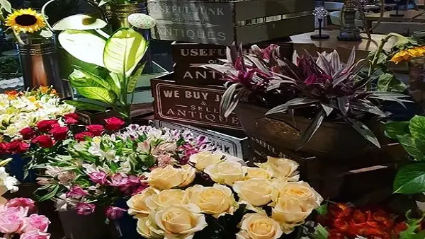  کافه آراکو گاردن