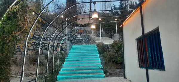  بلوط برگر