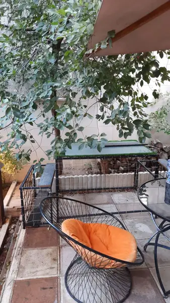 Mind cafè