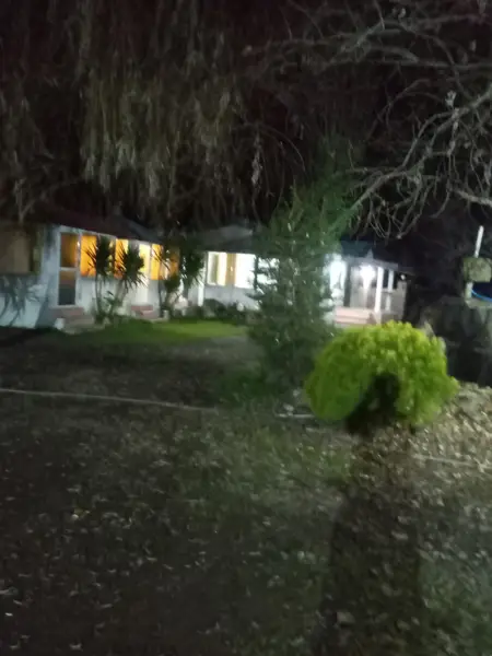  کافه شکوفه