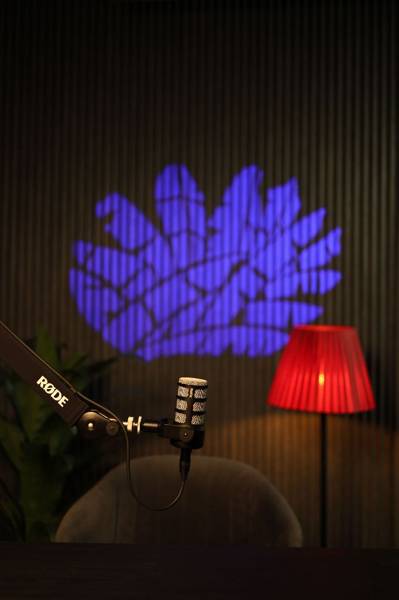  دیدآرا