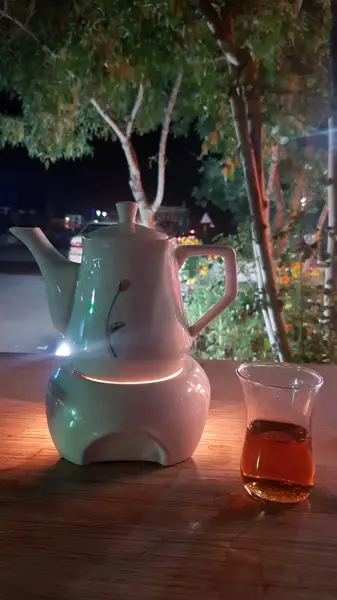  کافه دیزبین