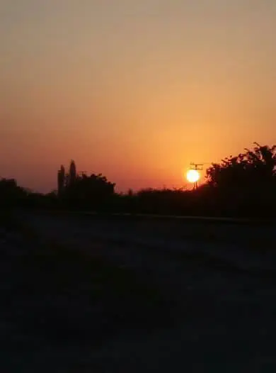 کافه ۲۵