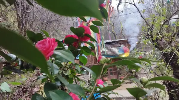  دو راهی کافه نویان