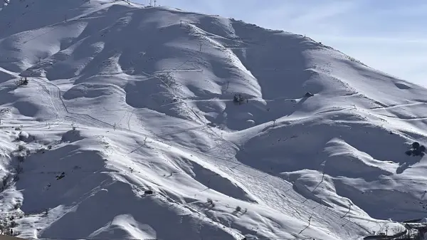 کافه سرو