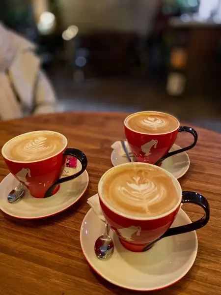  Cafe gallery 17