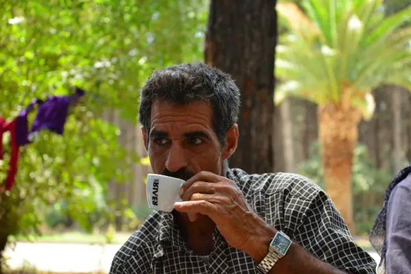  کافه ریور