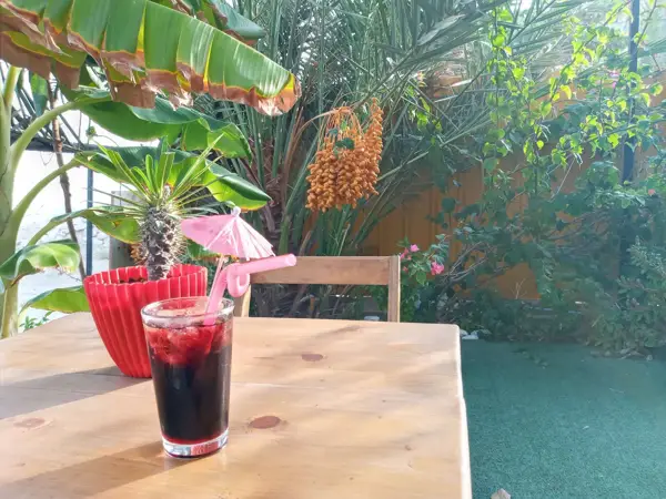  کافه مودندو