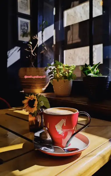  Cafe gallery 17