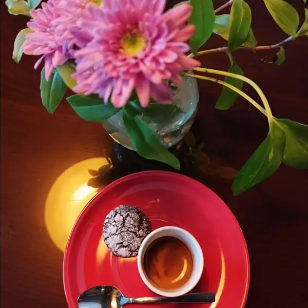  کافه آتی ماه