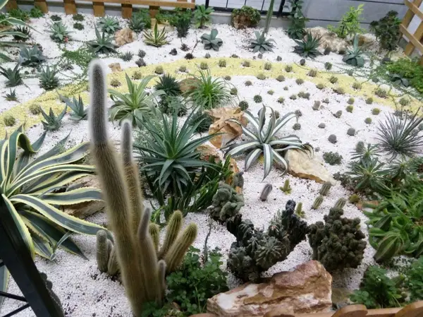 کافه رستوران باغچه