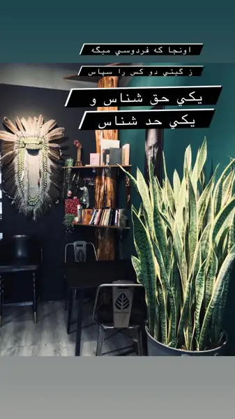  کافه جنگل